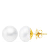 18K Yellow Gold Cultured Pearl Earrings 12-13 mm Pressure Closure