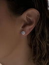 Petites Boucles d'Oreilles Argent Brillant Design Circulaire et Zircone