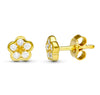 18K Yellow Gold Flower Earrings 6X6 mm