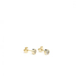 Small Silver Earrings with Gold Stud Design 6.5 mm