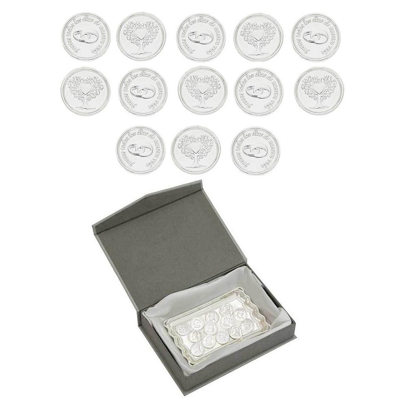 Silver Steel Coins + Tray + Case