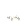 Small Shiny Silver Drop Earrings
